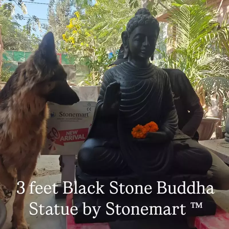 Transform Your Rehab Center with Natural Stone Holistic Décor: A Complete Styling Guide Part 1